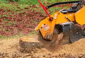 Leaf Removal in Myrtle Beach, SC